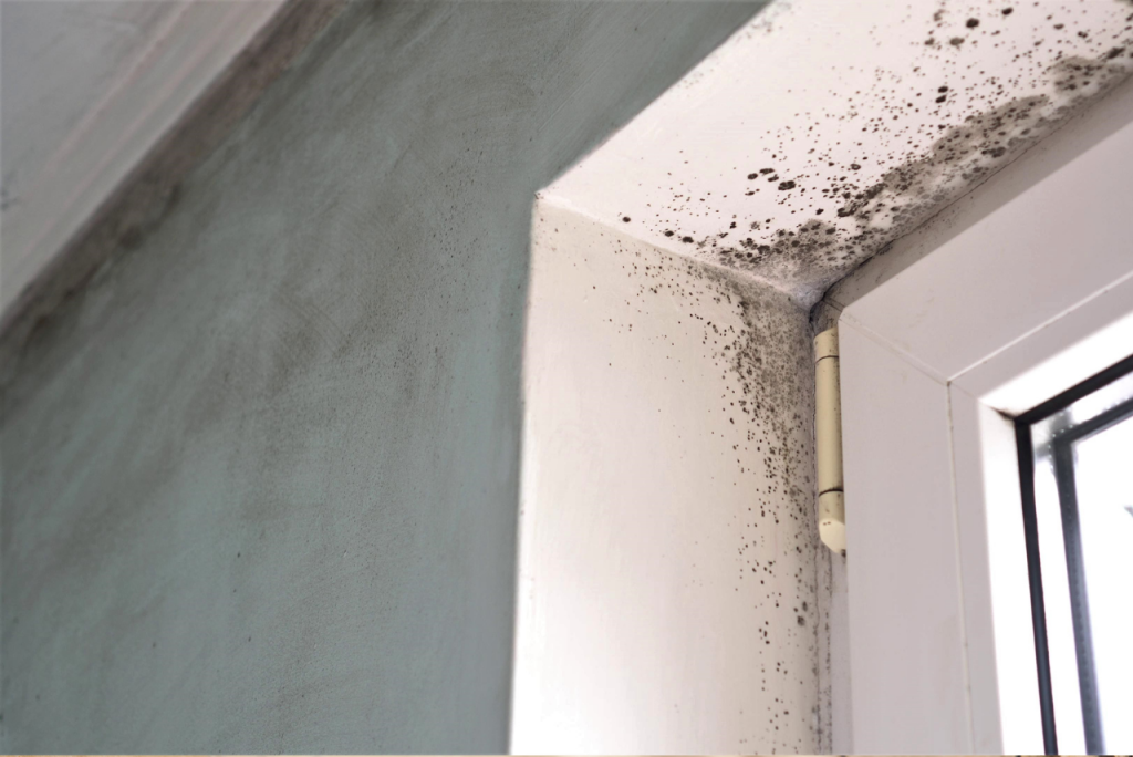 design ohne titel (1)